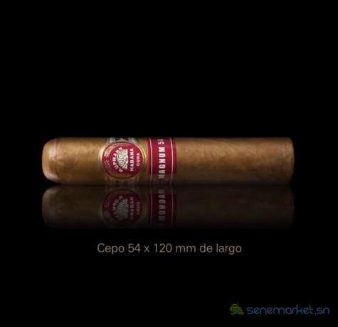cigar-hupmann-habana-54-big-1