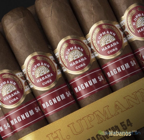 cigar-hupmann-habana-54-big-0