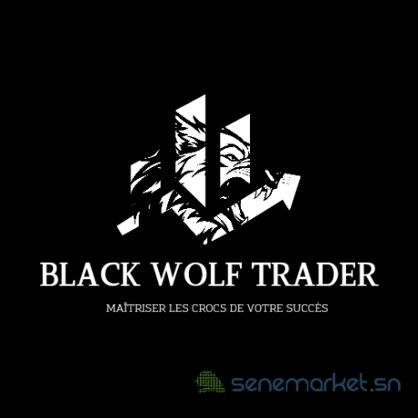 livre-de-formation-complete-pour-debutants-en-trading-pack-de-videos-de-formation-coaching-big-1