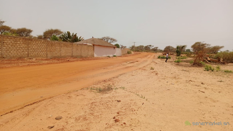 terrain-de-350-metres-carres-a-vendre-a-malicounda-senegal-big-1