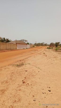 terrain-de-350-metres-carres-a-vendre-a-malicounda-senegal-big-2