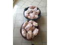 poulet-a-vendre-small-1