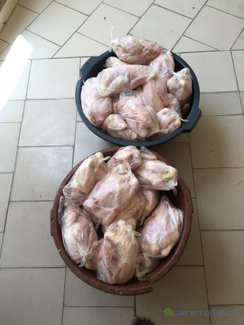 poulet-a-vendre-big-1