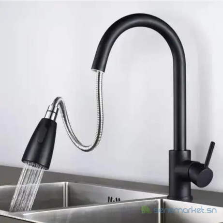robinet-flexible-et-extractible-big-0