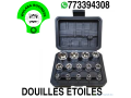 kit-doutils-de-douilles-etoile-a-couple-externe-caisse-jeu-de-douilles-torx-e-femelle-14-pieces-small-0