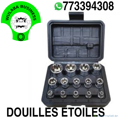 kit-doutils-de-douilles-etoile-a-couple-externe-caisse-jeu-de-douilles-torx-e-femelle-14-pieces-big-0