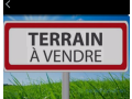 opportunite-de-terrains-a-saisir-small-0