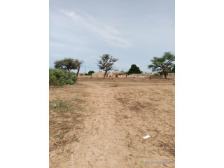 Terrain de 300 mètres carrés à Malicounda Ngoukhoudj
