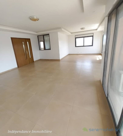 almadies-appartement-a-louer-residence-a-alain-ndiaye-big-4