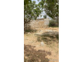 terrain-de-225-metres-carres-a-vendre-a-malicounda-senegal-small-2