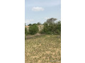 terrain-de-300-metres-carres-a-vendre-a-malicounda-masseib-small-1