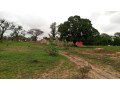 terrain-de-450-metres-carres-a-vendre-a-malicounsa-senegal-small-1