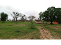 terrain-de-450-metres-carres-a-vendre-a-malicounsa-senegal-small-0