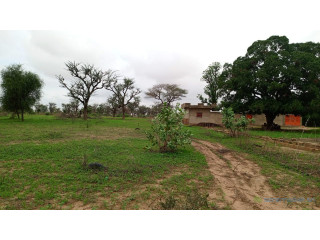 Terrain de 450 mètres carrés à vendre à Malicounsa Sénégal