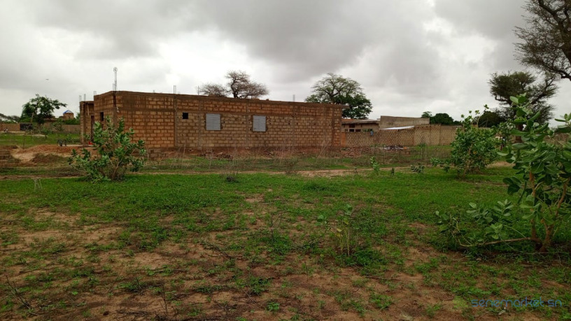 terrain-de-450-metres-carres-a-vendre-a-malicounsa-senegal-big-2