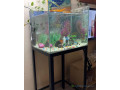 aquarium-de-70-litres-small-1