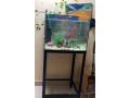 aquarium-de-70-litres-small-0