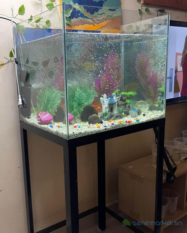 aquarium-de-70-litres-big-1