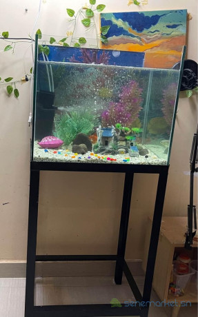 aquarium-de-70-litres-big-0