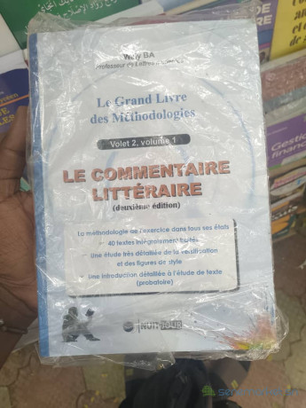 waly-ba-le-grand-livre-des-methodologies-le-commentaire-litteraire-big-0