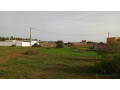 terrain-de-450-metres-carres-a-vendre-a-nguerigne-senegal-small-1