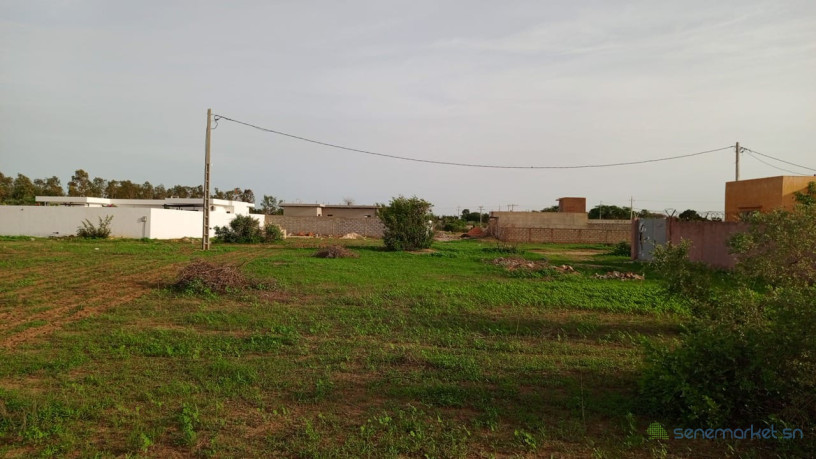 terrain-de-450-metres-carres-a-vendre-a-nguerigne-senegal-big-1