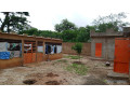 terrain-de-450-metres-carres-a-vendre-a-malicounda-senegal-small-1