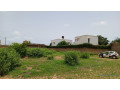 terrain-de-300-metres-carres-a-vendre-senegal-small-0