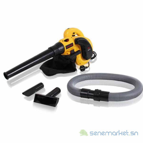 souffleur-aspirateur-professionnel-big-1