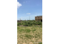 terrain-de-300-metres-carres-a-vendre-a-malicounda-peage-senegal-small-2