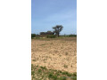 terrain-de-300-metres-carres-a-vendre-a-malicounda-peage-senegal-small-0