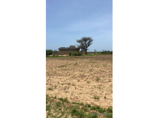 Terrain de 300 mètres carrés à vendre à Malicounda péage Sénégal