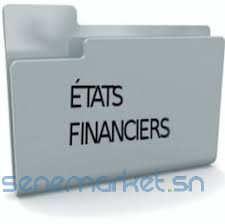 montage-des-etats-financiers-pour-les-entreprises-big-0