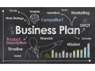 BUSINESS PLAN A VENDRE