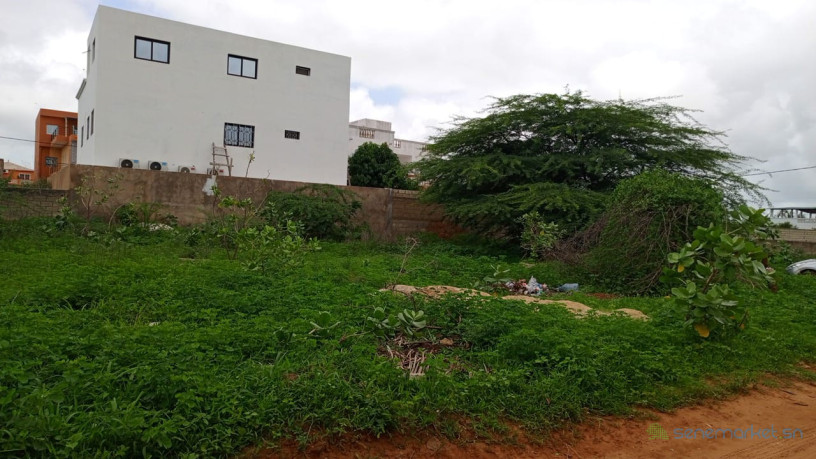 terrain-de-600-metres-carres-a-vendre-a-la-somone-senegal-big-0