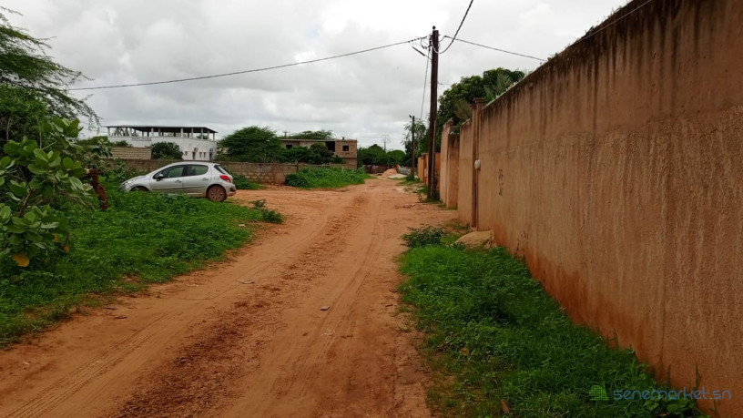 terrain-de-600-metres-carres-a-vendre-a-la-somone-senegal-big-1