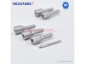 common-rail-nozzle-g3s91-common-rail-nozzle-l027pbc-small-0