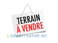 terrain-a-vendre-sindia-small-0