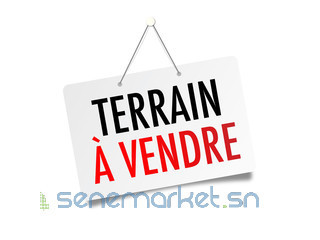 TERRAIN A VENDRE SINDIA