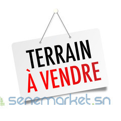 terrain-a-vendre-sindia-big-0