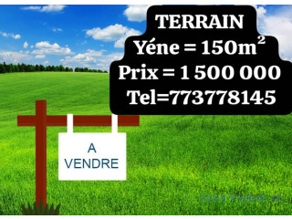 Terrain de 150 m² Yéne