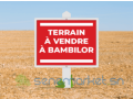 3-lots-de-terrains-colle-a-vendre-a-bambilor-small-0