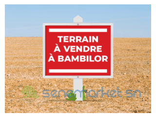 3 lots de terrains collé a vendre a bambilor