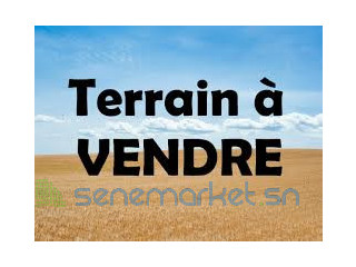 TERRAN A VENDRE