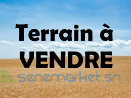 terran-a-vendre-big-0