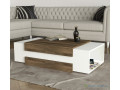 tables-basse-small-4