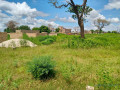 terrain-de-225-metres-carres-a-vendre-a-saly-senegal-small-3