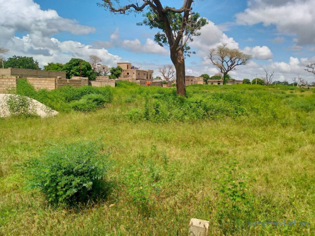 terrain-de-225-metres-carres-a-vendre-a-saly-senegal-big-2