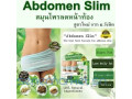 comprimes-habdomen-slim-small-0