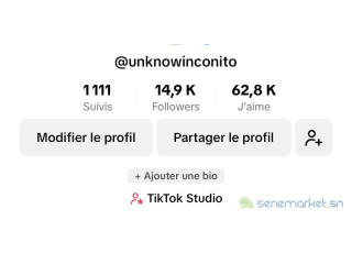 COMPTE TIKTOK 14k dabonnés